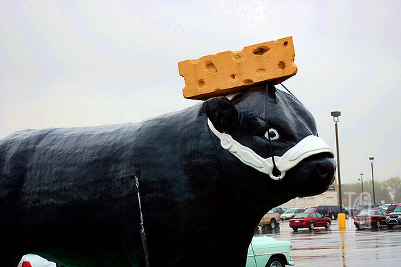 Day 197. To my out-of-state friends:  It's true, even our giant fiberglass animals have cheeseheads. Sigh.