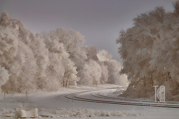 Day 270. Powdered sugar landscape.