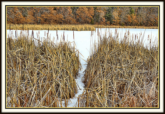 Day 359. Winter is like the 'pause' button. We'll press play again soon.
