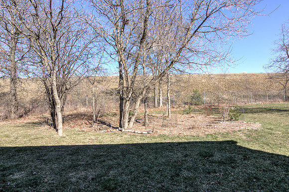 19 - Backyard-04