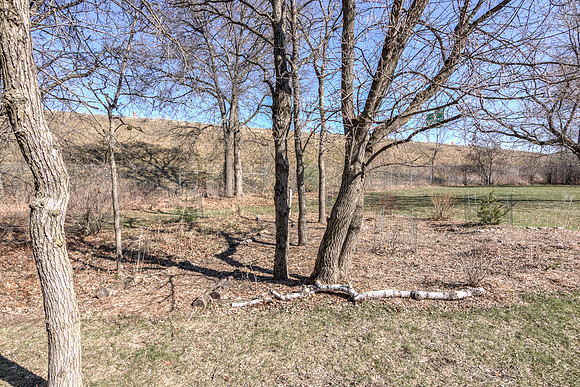 19 - Backyard-02