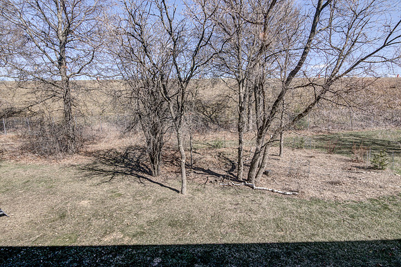 19 - Backyard-09