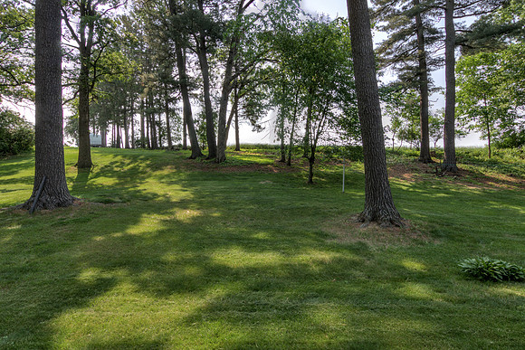 19 - Backyard-3