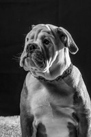 TZ6_5920-Edit