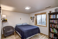 12 - Lower Level Bedroom - 1-1