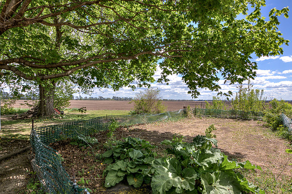 19 - Backyard-08