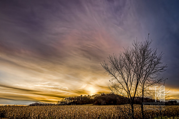 Harvest Sunset - Tim Abraham