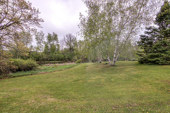 19 - Backyard-3