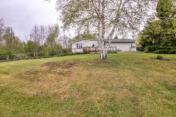 19 - Backyard-11