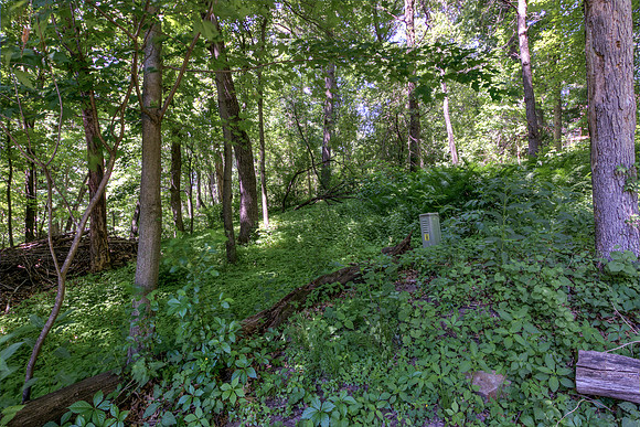 19 - Backyard-07