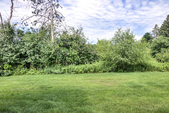 19 - Backyard-2