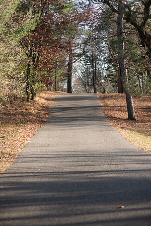 TLA_4769-Edit