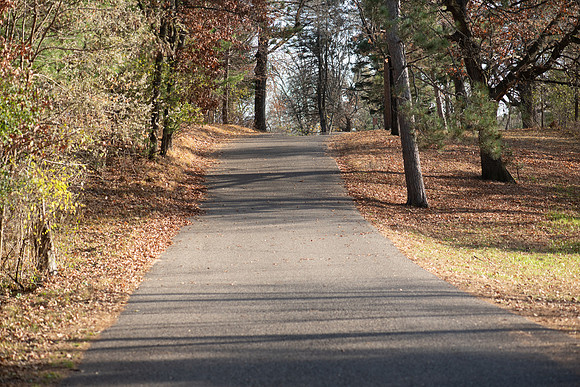TLA_4766-Edit