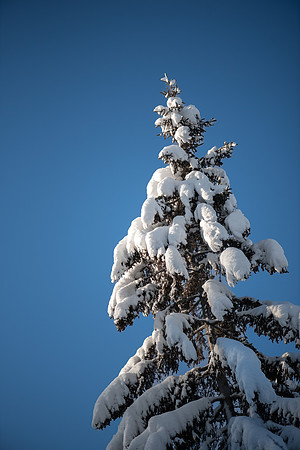 TLA_9325-Edit
