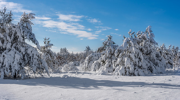 TLA_9398-Pano