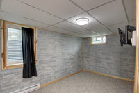 12 - Lower Level Bedroom - 1-1