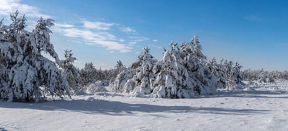 TLA_9397-Pano-Edit