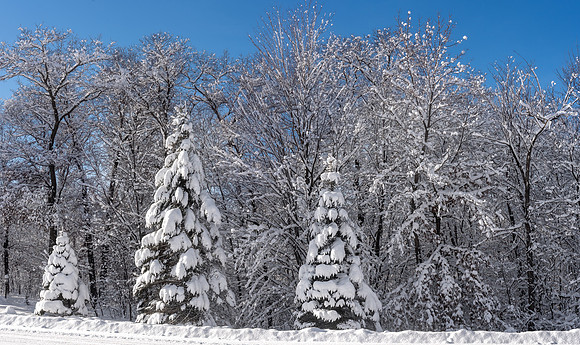 TLA_9351-Pano-Edit