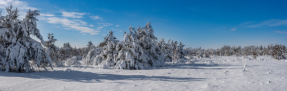 TLA_9397-Pano-2-Edit