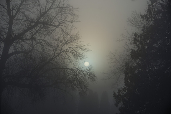 D72_9482-Edit