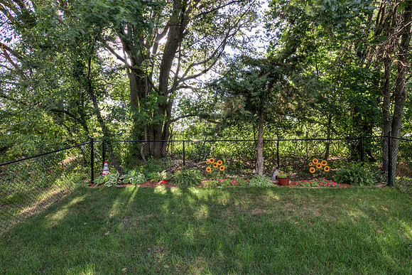 19 - Backyard-2