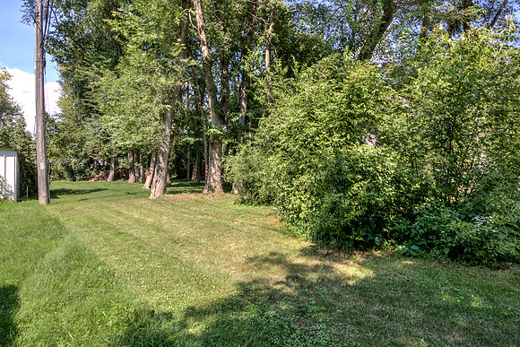 19 - Backyard-5