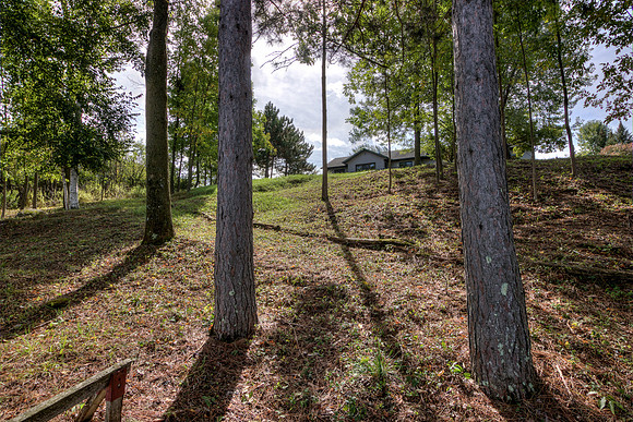 19 - Backyard-11
