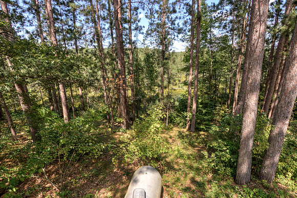 19 - Backyard-5-Edit