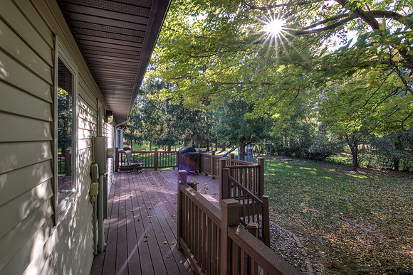 19 - Backyard-2