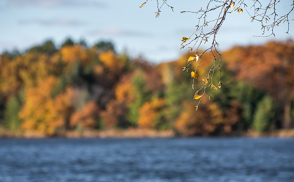 Tim Abraham - Depth of Field - Autumn on Round Lake