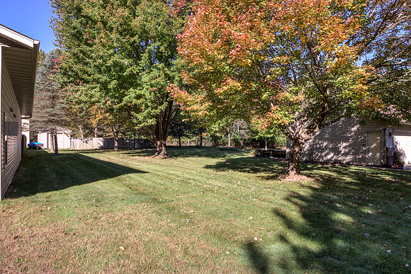 19 - Backyard-02