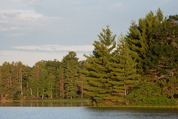 TLA_7255