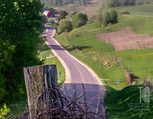Along the Way - Tim Abraham