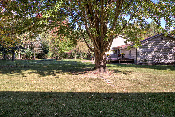 19 - Backyard-03