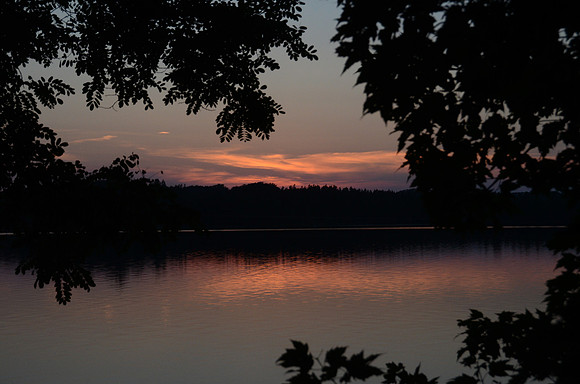 DSC_0980