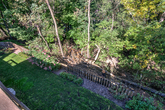 19 - Backyard-10