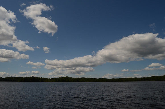 DSC_0901