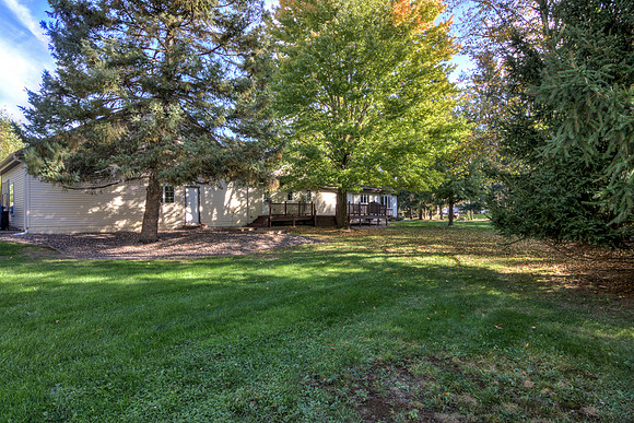 19 - Backyard-4