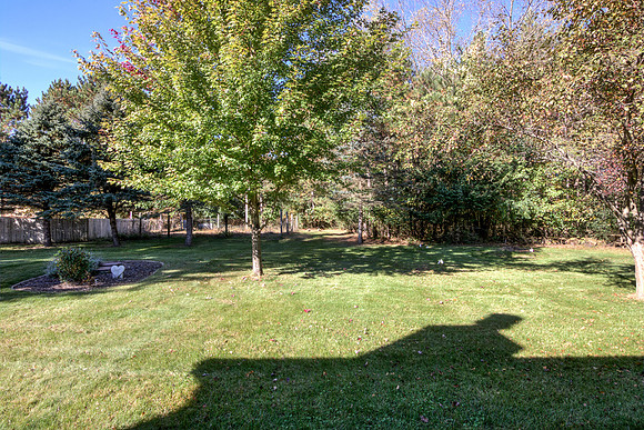 19 - Backyard-09