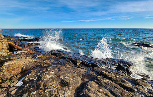 20221126_140033-Edit-Edit