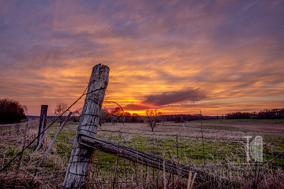 Sunset on the Farm - Tim Abraham