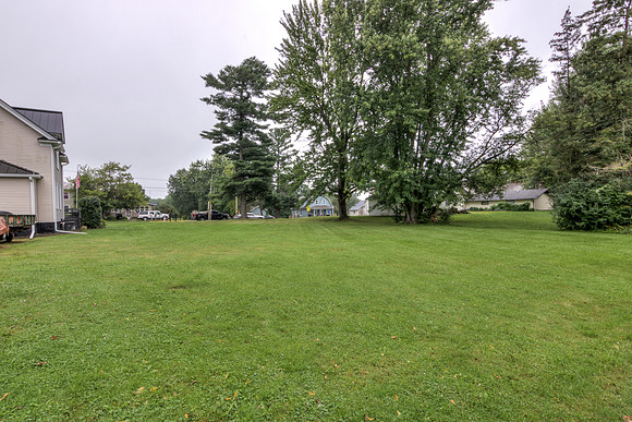 19 - Backyard-5