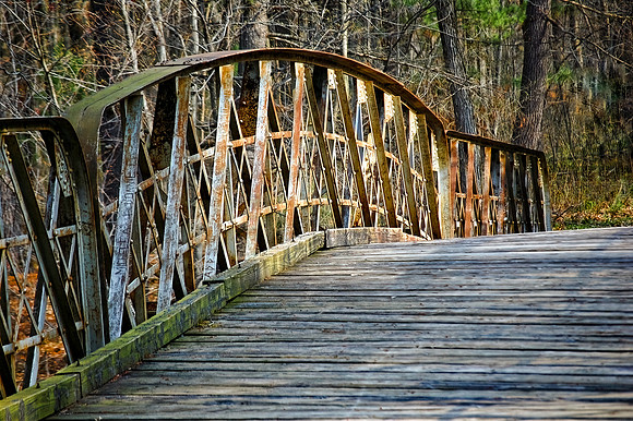 DSC_0582-Edit