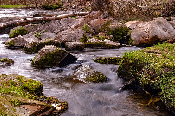 DSC_8891-Edit