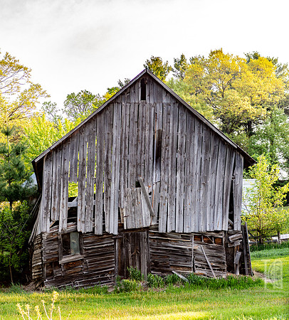 Still Standing - Tim Abraham