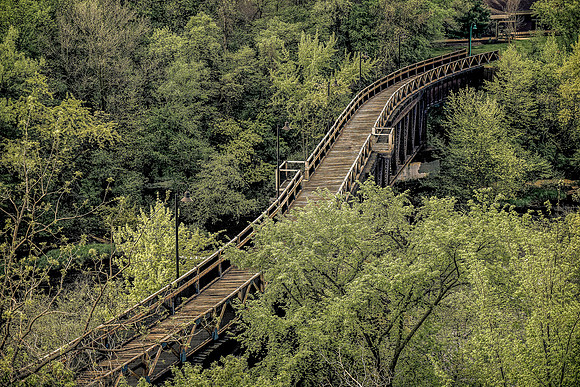 The S Bridge