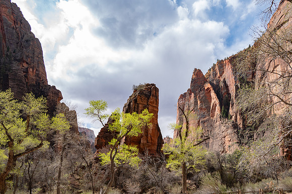 Utah - TZ6_8405