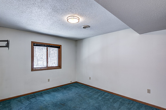 12 - Lower Level Bedroom - 3-1