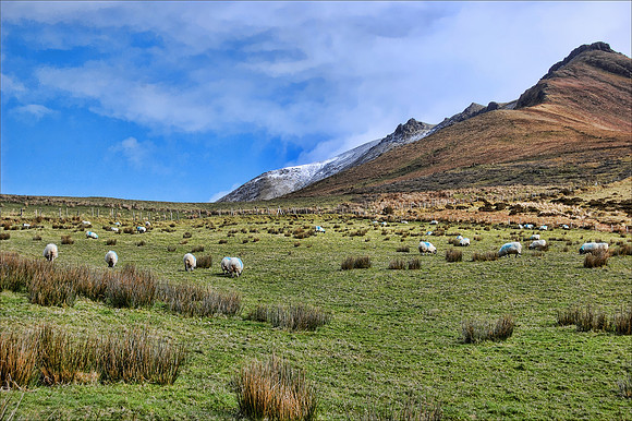Ireland - DSC_3139_tpz