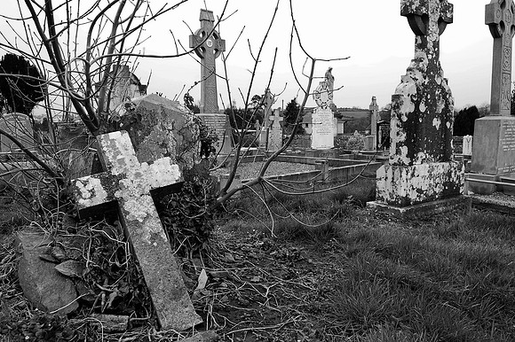 Ireland - DSC_3660